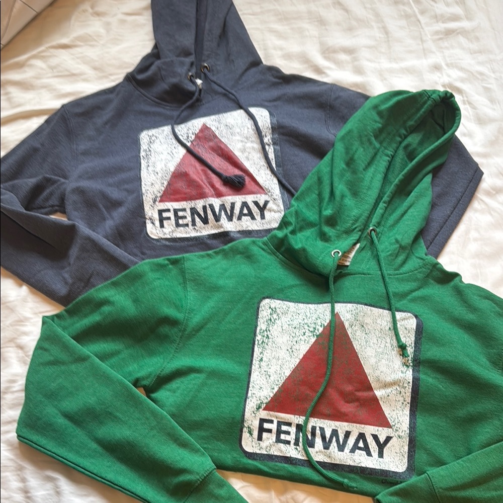 Delta Fenway Hooded Sweatshirt in Navy with Red Logo-green not available